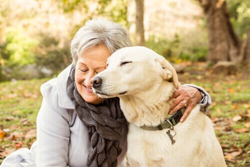 Convivência entre Cães e Idosos: Reflexos para a Saúde