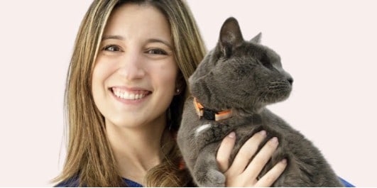 How Much Does It Cost to Have a Dog or Cat?