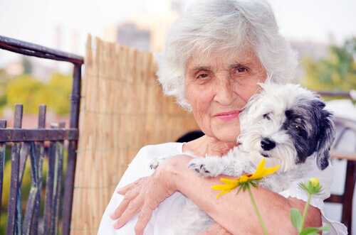 O Cão: Um dos Melhores Companheiros Para Idosos