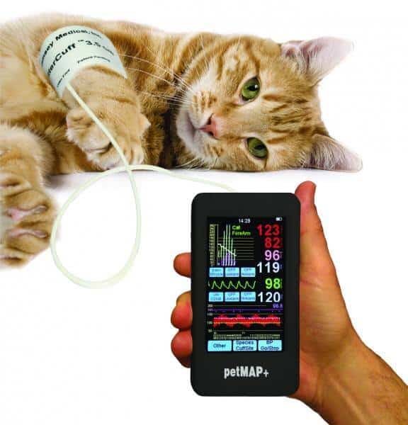 Aparelho de medição de tensão arterial petMAP+, com as leituras no ecrã.